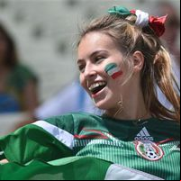 world cup 2014 beautiful girls