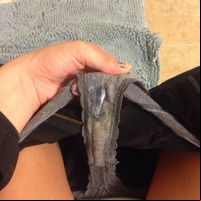 wet panties